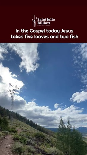 St Julie Billiart Parish on TikTok