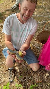 8K views · 164 reactions | Something to do with the kids :) #foraging #wildfooduk #foragingcourses #wildfood #summerholidays | Wild Food UK | Facebook