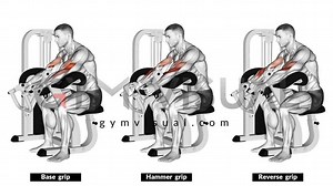 All kind of exercises on Gym visual - gymvisual.com | Gym visual