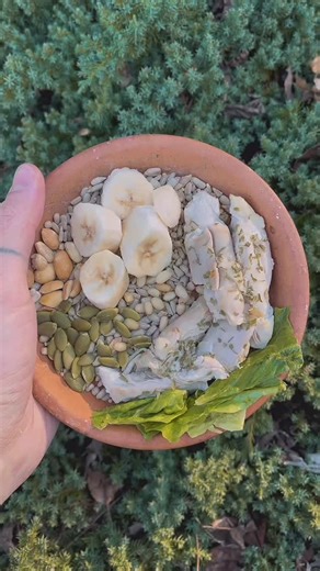 🎶baby lock them doors n turn the lights down low🎶 I mean hi I’m back with day 168!! the fist time I posted this i got the export setting all messed up n the colors were more off than usual…. But u live and u learn and hopefully it doesn’t end up the same way but if so … what can ya do? u know what i mean? ok well im about to head out to visit my dad who still in the hospital but he’s beginning to do better! which i yam very grateful for. ok enough about me i hope u have a good day out there an