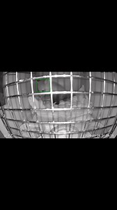 2.7K views · 109 reactions | Studies have identified 12 different...