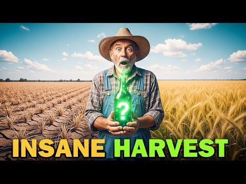 How To Increase Your Crop Yields Instantly