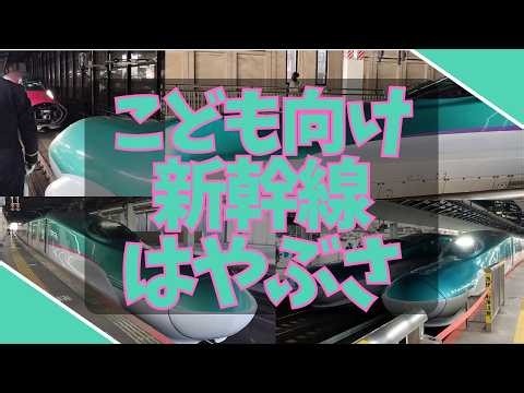 【こども向け】【For Kids】新幹線はやぶさ大集合！発着・走行・連結シーンをたっぷり14分｜E5系・H5系