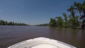 Yesterday was the Tickfaw 200 Poker Run. Louisiana’s Premiere Powerboat Poker Run. Take a quick trip with us through the Tickfaw River. | NewOrleansLocal
