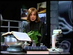 Alegrijes y rebujos - Capitulo 82