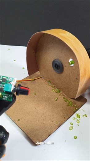 beginner level vegetable cutter