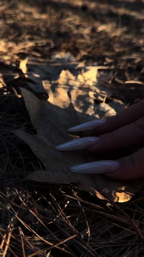 Leaf ASMR 🍂 #asmr #relaxing #nature #natureasmr #layeredsounds | nature