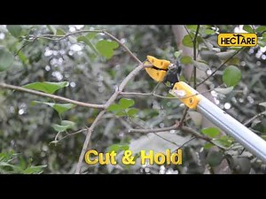 Hectare long reach pruner with saw