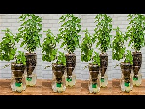 The most fantastic idea for a plastic bottle.