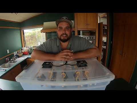 DIY Meat/Biltong drying box + Biltong recipe