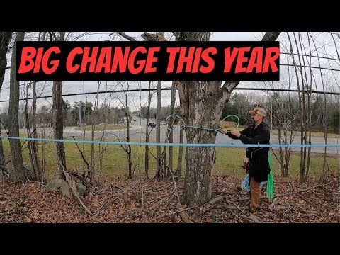 Getting the sap collection system ready for maple syrup 2026