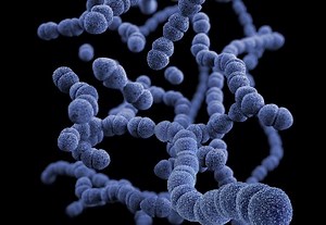 Clostridium difficile: Symptome, Ursachen, Diagnose und Behandlung