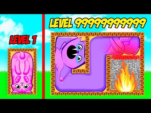 I Put Cats in UNCOMFORTABLE SITUATIONS In Puzzle Cats