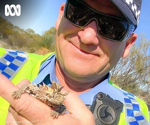 42K views · 340 reactions | Meet Adam: police officer and 'wannabe...