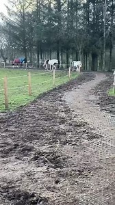 7.9K views · 75 reactions | We asked the horses whether they are happy to walk on the MUDCONTROL slabs, given the option? | Mudcontrol | Facebook