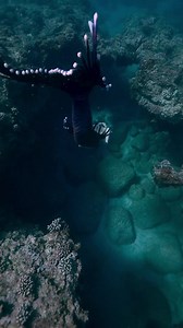 186K views · 10K reactions | A fun little swim through under the sea  could you do it? #mermaid tail by Finfolk Productions | Mermaid Sirenity | Facebook