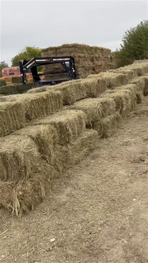 2.1K views · 11 reactions | Video of hay checked in tonight for our sale Saturday November 1st in Clay Center Ks. Hay sale starts at 9 am and we expect more by sale day | Clay Center Livestock Sheep and Goat Sales | Facebook