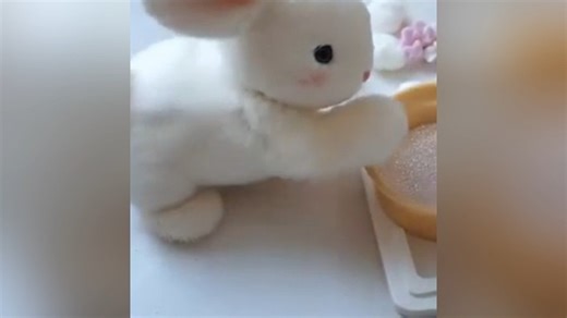 Watch Pubyfun Bunny Pal on Amazon Live