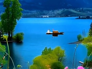 【浓郁风光】最新视频来袭，快来看看吧！