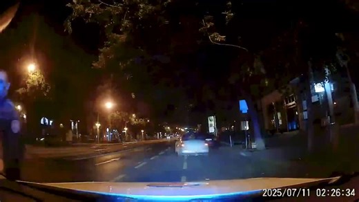 Police Arrest Driver After High-Speed Chase, Crash in Budapest