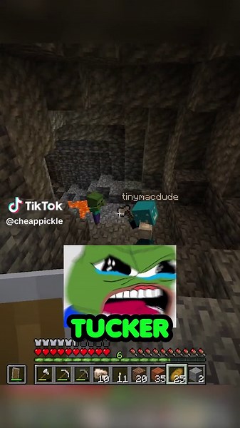 i thought i had free pickles #minecraft #youtube #gaming #cheappickle @tinymacdude
