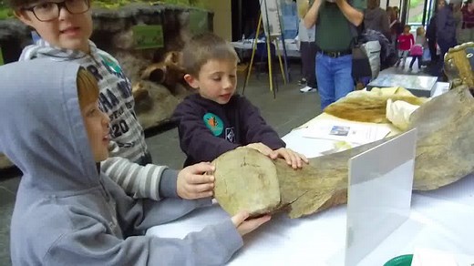 Join us on Oct. 13 to discover surprising facts spanning 14,000 years of Michigan history! This year’s event will feature hands-on activities for kids, demonstrations, artifact displays, a scavenger hunt with great prizes and even an Archaeology Roadshow – bring in your own artifacts for our experts to identify. Admission and parking will be FREE! | Michigan History Center