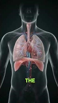 What Really Happens Inside Your Body During a Drug Overdose? #drugprevention #drugtakebackday