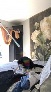 Watch 18 years old but still frisky on Amazon Live