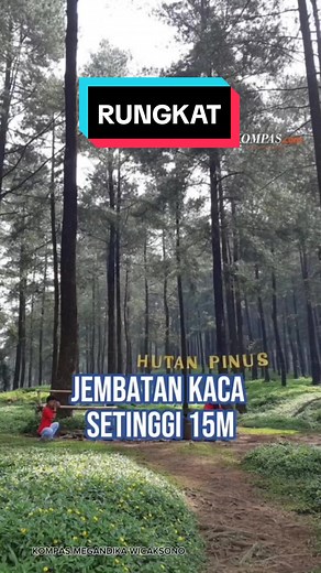 Keamanan Jembatan Kaca: Pemilihan Bahan yang Tepat