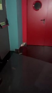 Wtf 🤯 ir ao cinema agora só se for para ver o Titanic em 4D | Bilbia mt engarsada