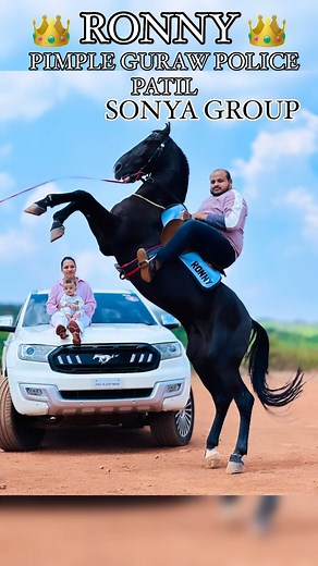 Mohommad Zuber on Instagram: "Mahableshwar venna lake TOPEST TRENDING FAMOUSE HORSE 👑RONNY👑 perfect TRENDING FOTOSHOOT VIDIO SHOOT visit 👑 RONNY 👑 more info CONTACT DM😎……….#vairal #vidio #suset #s #support #horse #beach #beauty #beautyfull #explore #explorepage #wella #kingronny82"