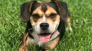 PinIt! Here’s how to share your photos with News 6 and the world