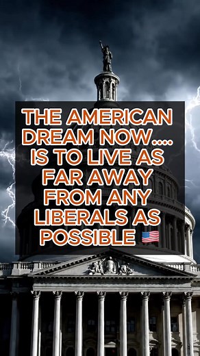508K views · 42K reactions | New American dream! | The Political Insider | Facebook