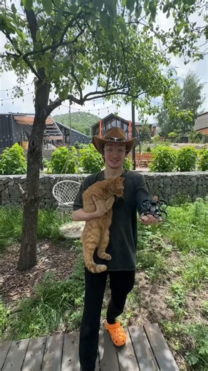 Drone vs Simba: Who wins the ultimate challenge? 😱🏅 #animation #simba #funny #cat