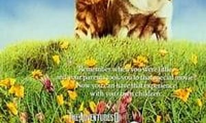 The Adventures of Milo and Otis - Where to Watch and Stream Online – Entertainment.ie