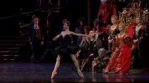 Swan Lake - Odile Black Swan solo (Natalia Osipova, The Royal Ballet). | Ballet & Dance Style Photo Gallery