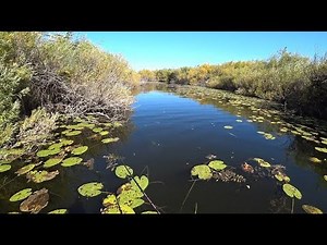 ДА ОНА ЗДЕСЬ БЕШЕНАЯ! Щука АТАКУЕТ прям у лодки! РЫБАЛКА на щуку на реке Кулан!!!