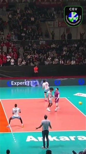 📺 Watch the CEV Champions League Volleyball LIVE on EuroVolley.TV #cev #volleyball #clvolley