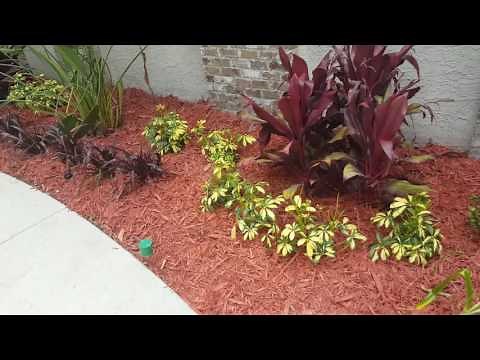 Enoz No Zone Pest Repellant Review