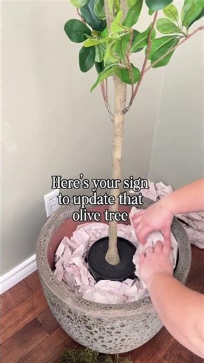 Faux Olive Tree Upgrade: Plant in Concrete Planter with Moss! 🪴✨