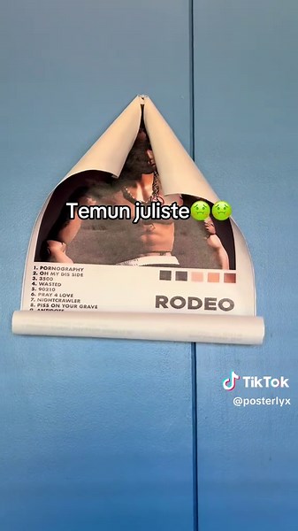 Posterlyys.com on TikTok