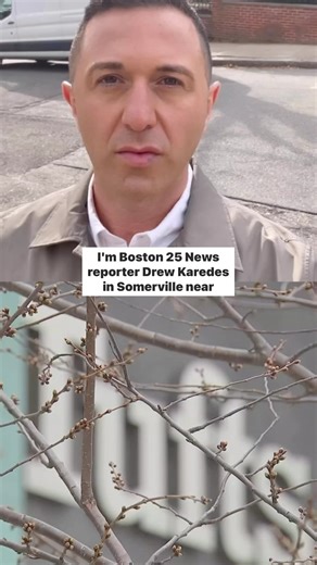 A Tufts University graduate student is in federal custody, detained by federal authorities outside of an off-campus apartment building in Somerville Tuesday night. Head to the 🔗 in our bio for more: #boston25news #fyp #boston #Tufts #studentdetained | Boston 25 News