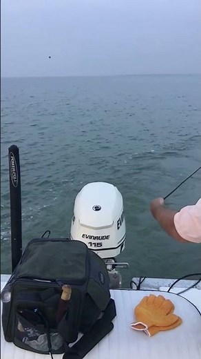 Texas Small Boat Shrimp/Bait Trawl Part 1