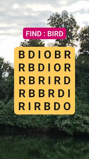 #brainteasers #brainteaser #puzzle #quiz | Puzzle Box