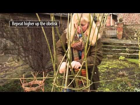 How to make a willow obelisk plant support