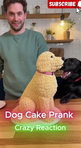 Dog's HILARIOUS Reaction to Cake Cutting Prank 😂🍰 #shorts #dog #funny #viral