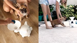 Build A Dog Ball Launcher That Kinda Looks Like A Dog