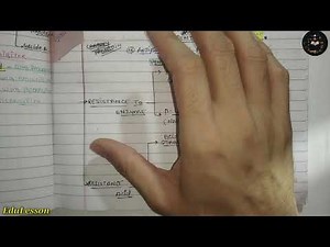 Pharmacology of Penicillin - Classification, Mechanism of Action, Adverse or Side effects