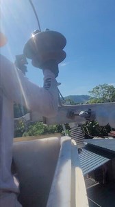 #pin insulators to post insulators | life of line