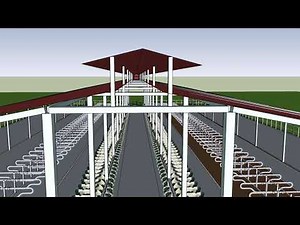 Cow Shed Design